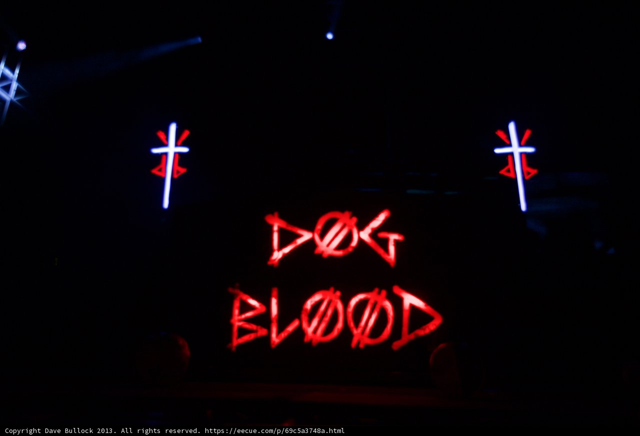Neon Cross with Dog Blood