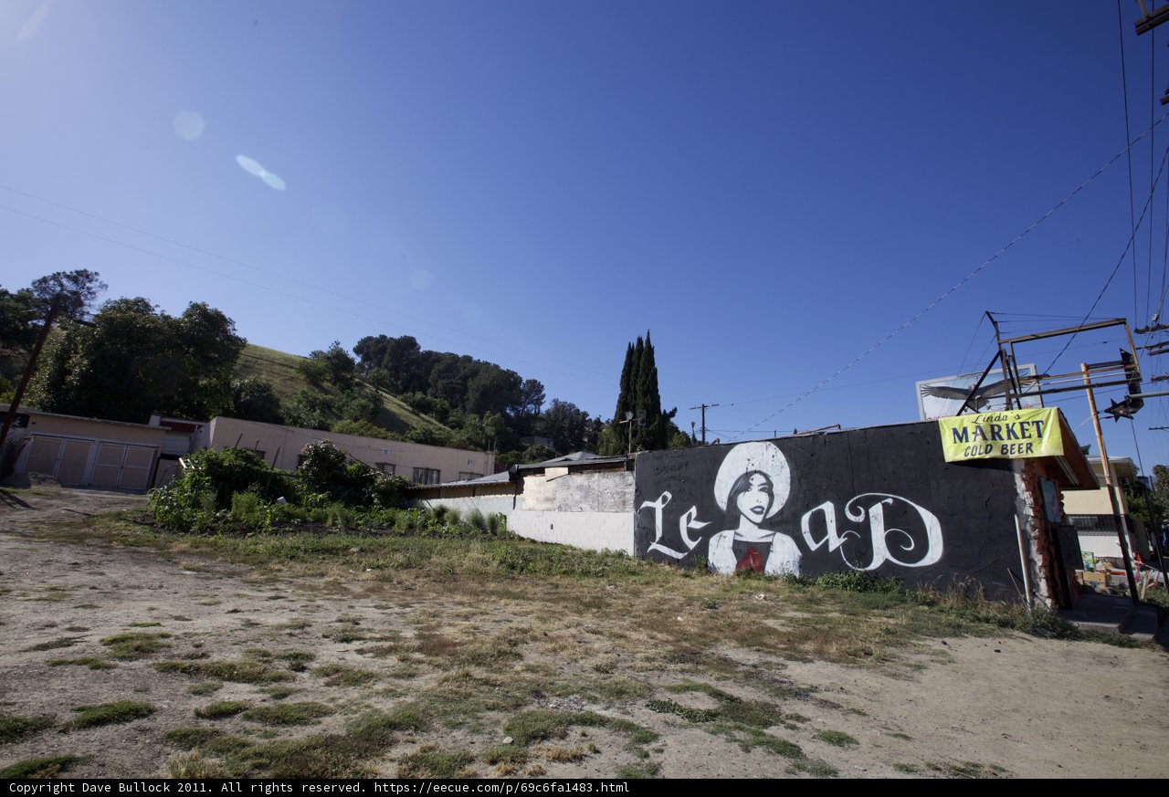 Mural of a Woman in the Countryside