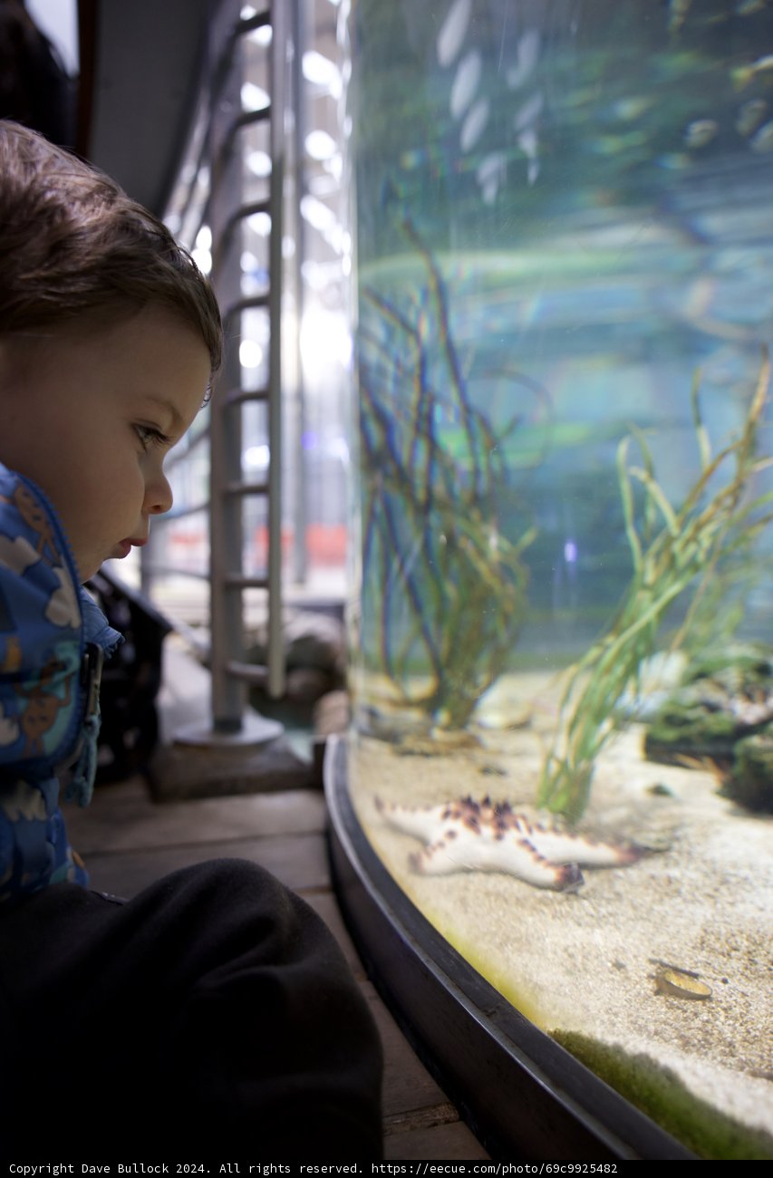 Encounter with the Underwater Kingdom