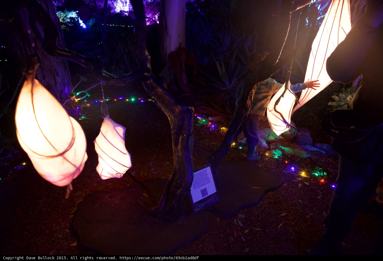 Enchanted Evenings at Garden of D'Lights