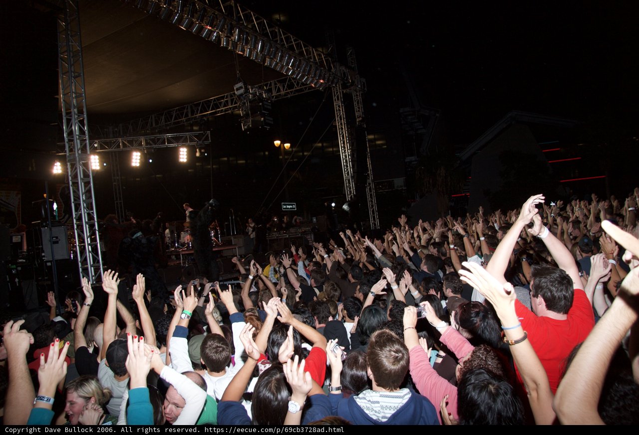 Rocking Out with the Crowd