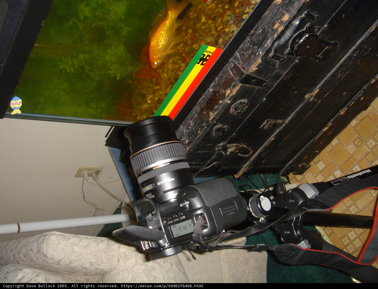 The Setup