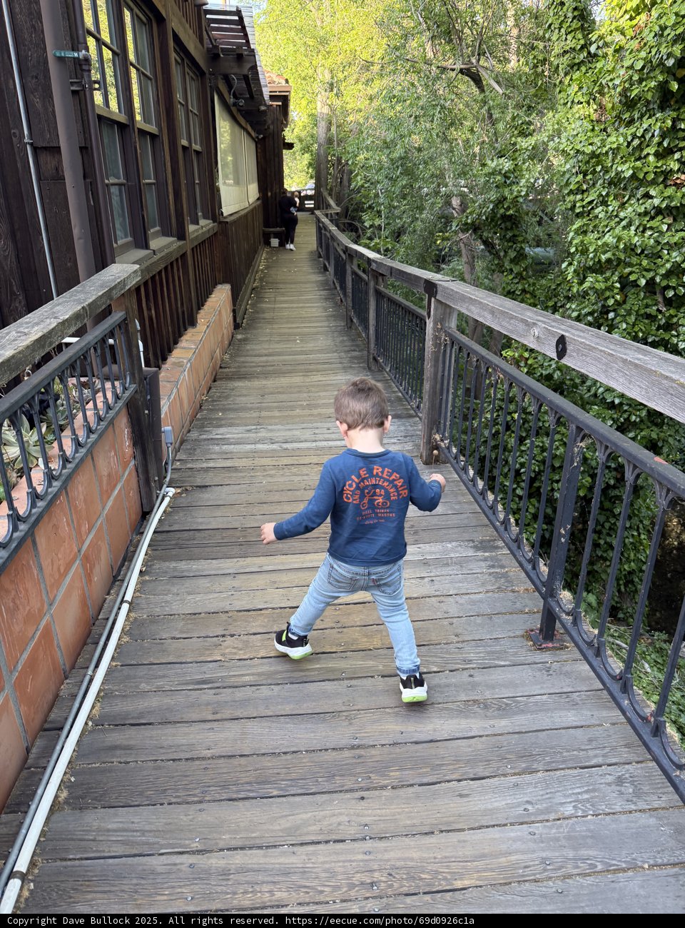 Exploring the Pathway