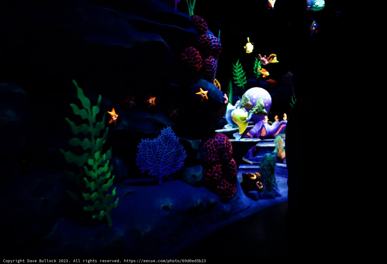 Magical Underwater Adventure at Disneyland