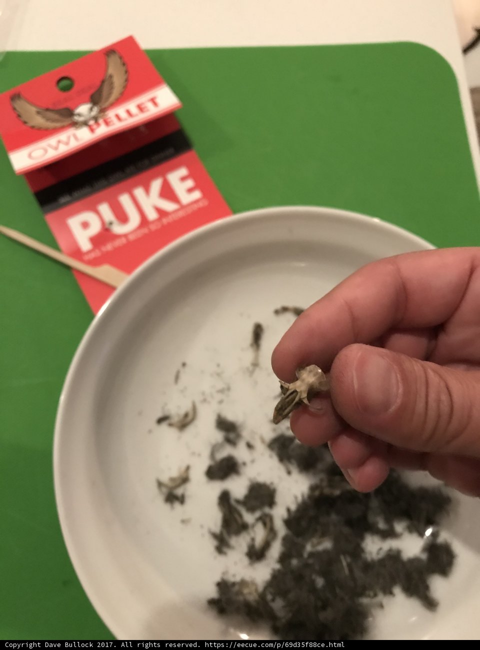 Finger-Licking Good Meal