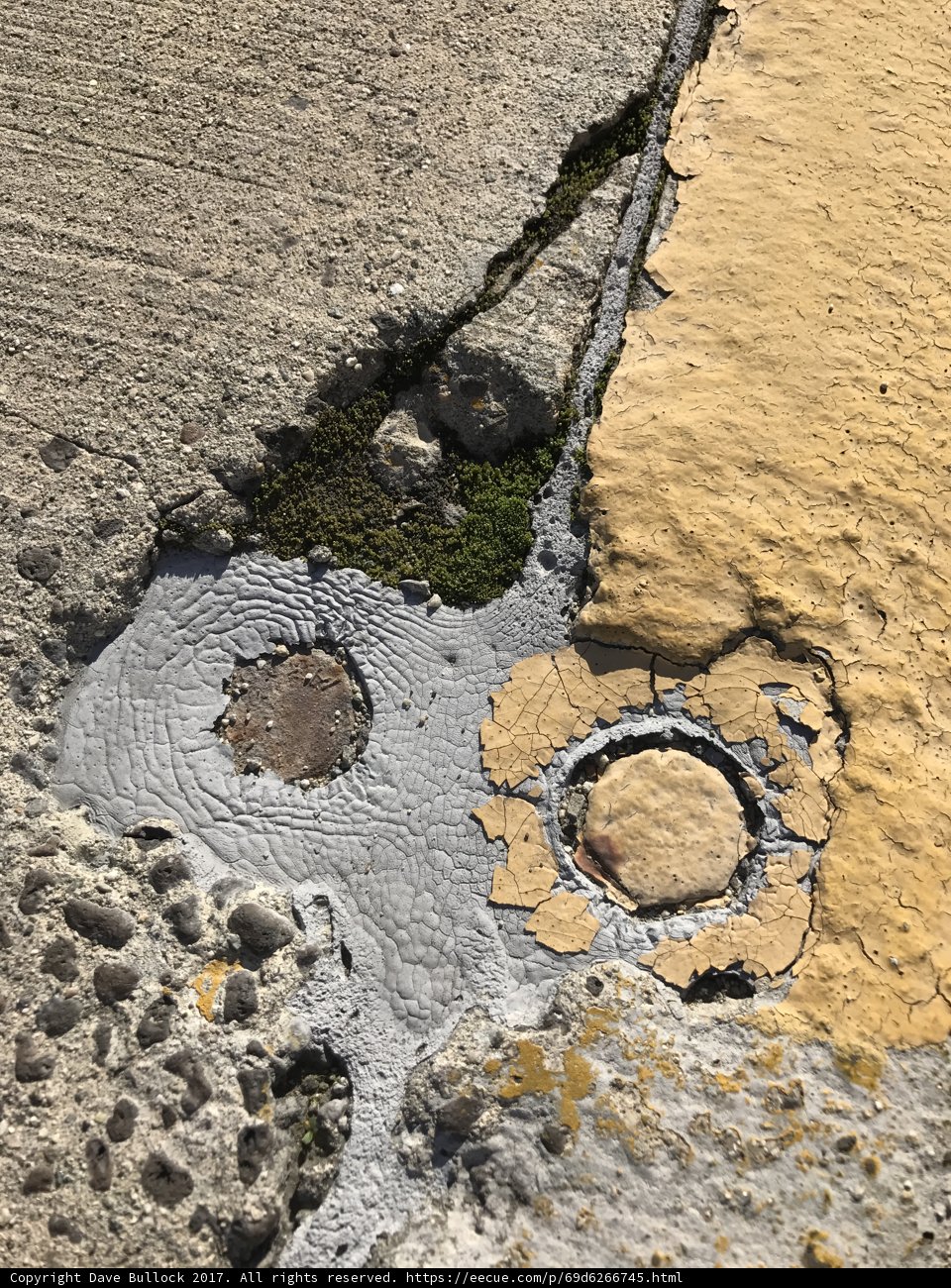 The Colorful Manhole