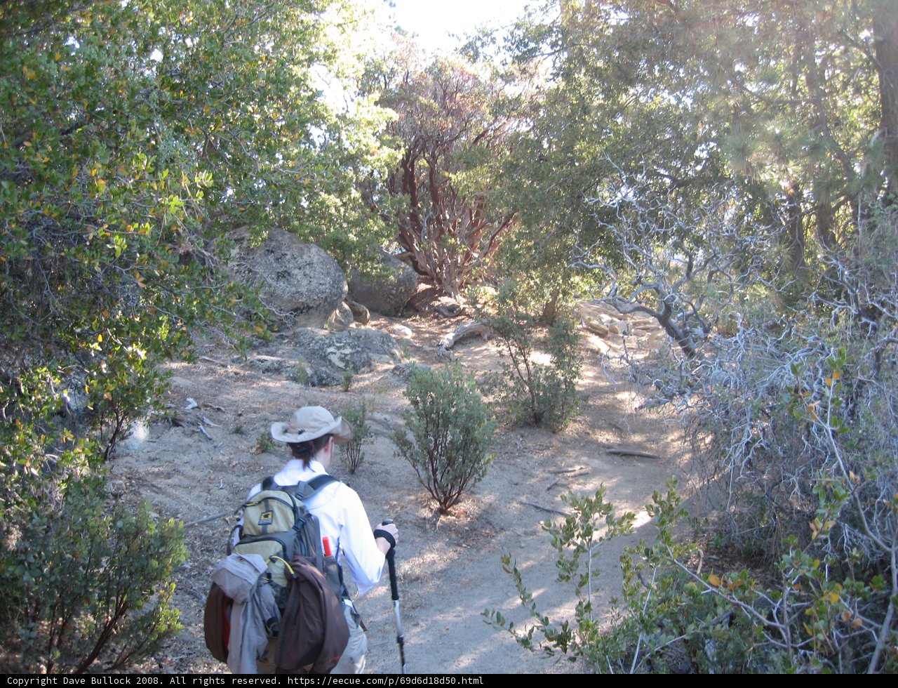 A Hiker in the Wild