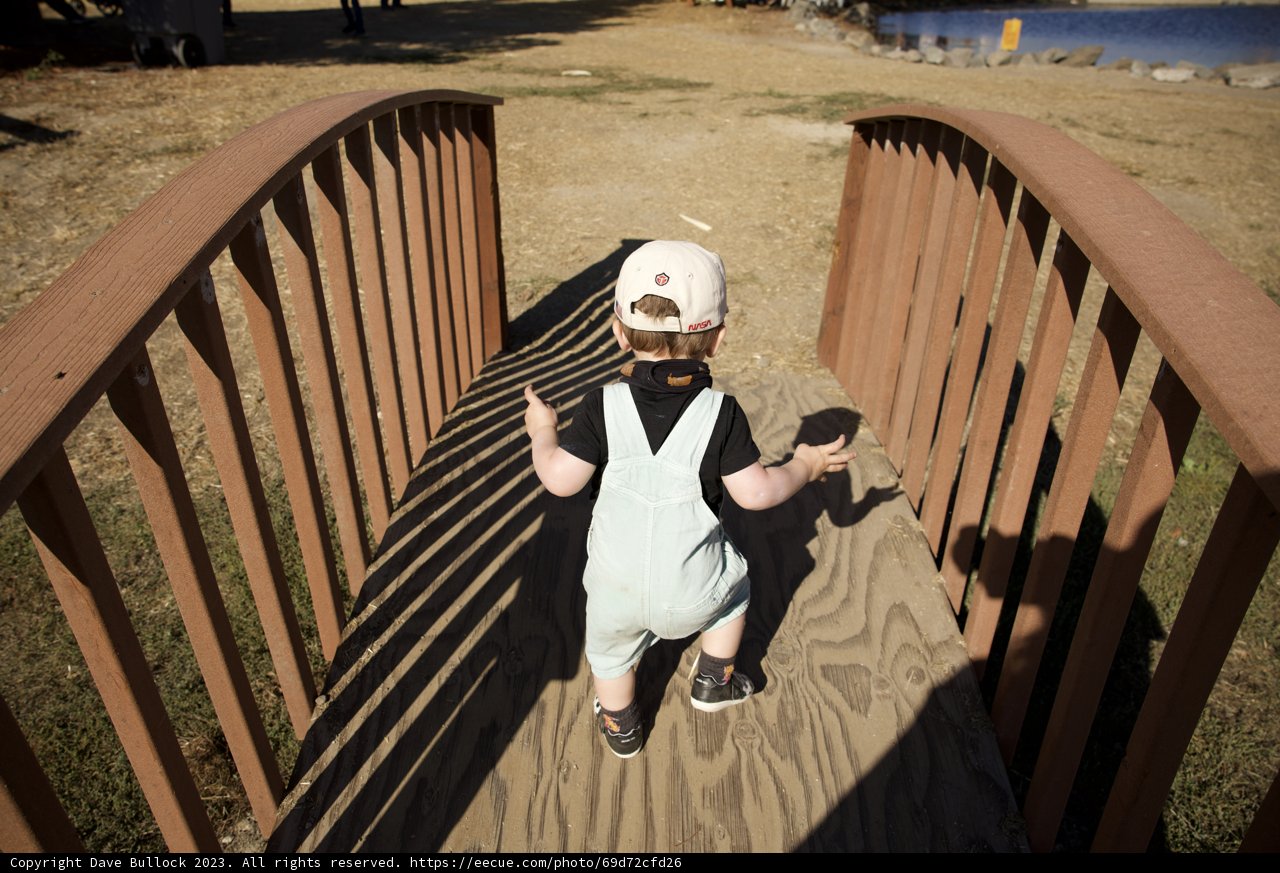 The Wooden Bridge Adventure