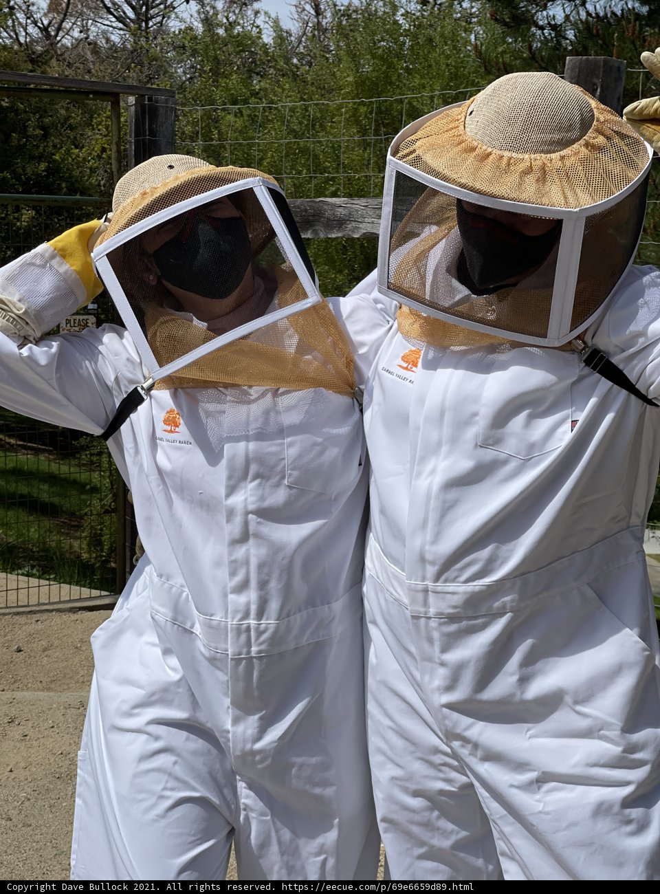 Beekeeping in Carmel