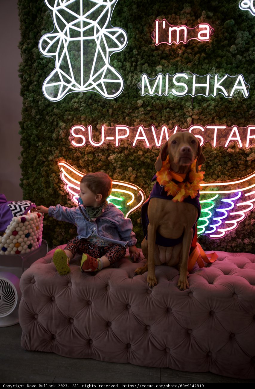 Neon Celebration: Hi-Li's 5th Birthday Bash
