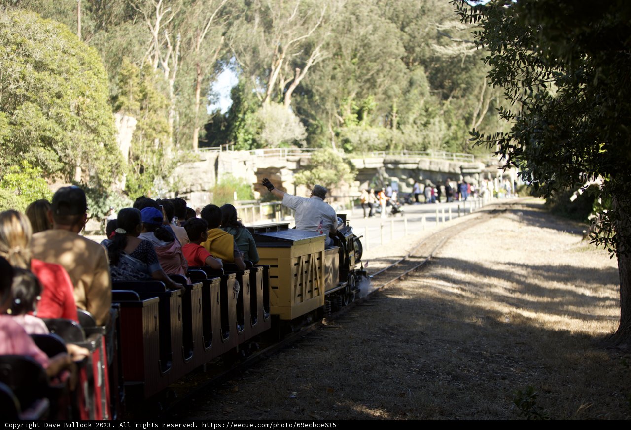 Whistle-Stop Tour at SF Zoo & Gardens, 2023