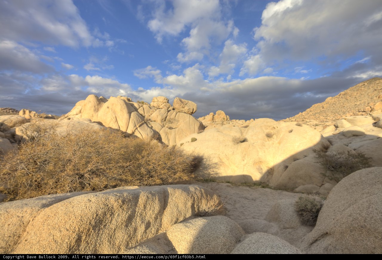 Desert Dreamland