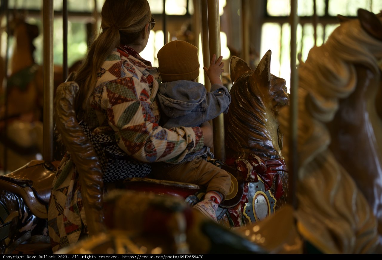 Carousel Joy at the SF Zoo