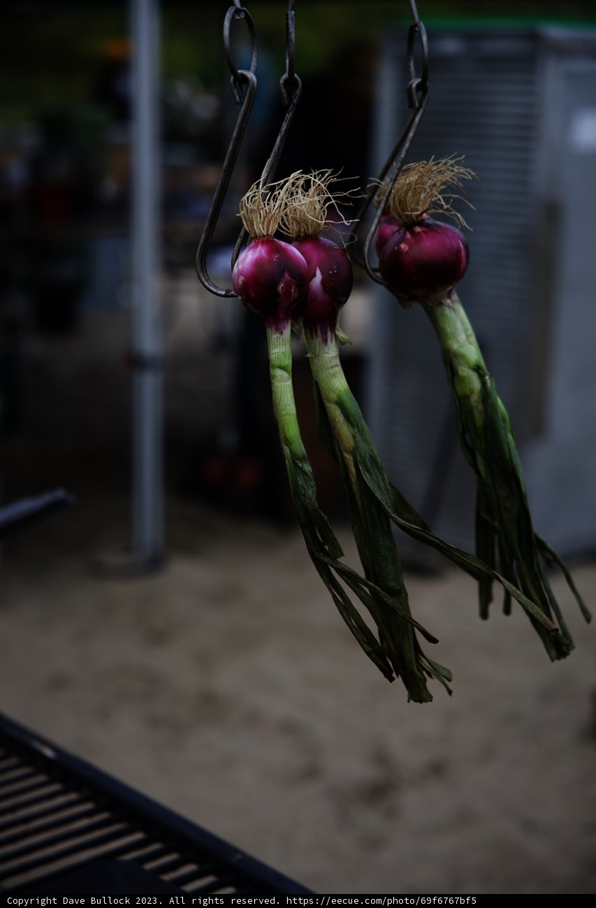 Onion Duo in Pescadero's Secret Beach