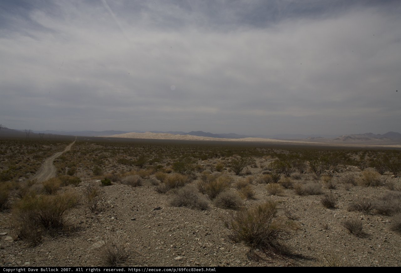 Desert Horizon