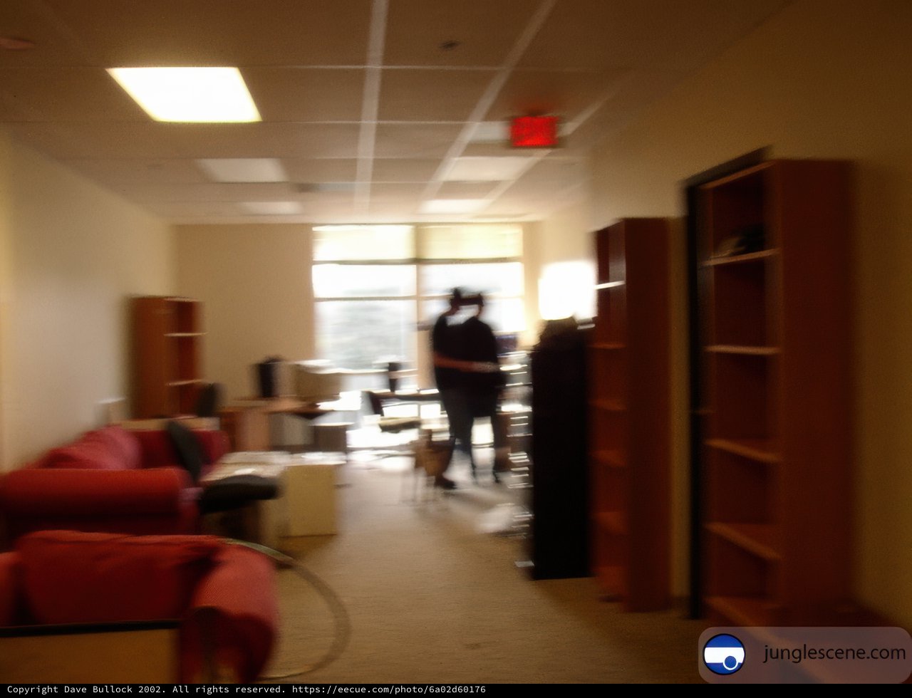 Blurred Living Room with Mysterious Figure