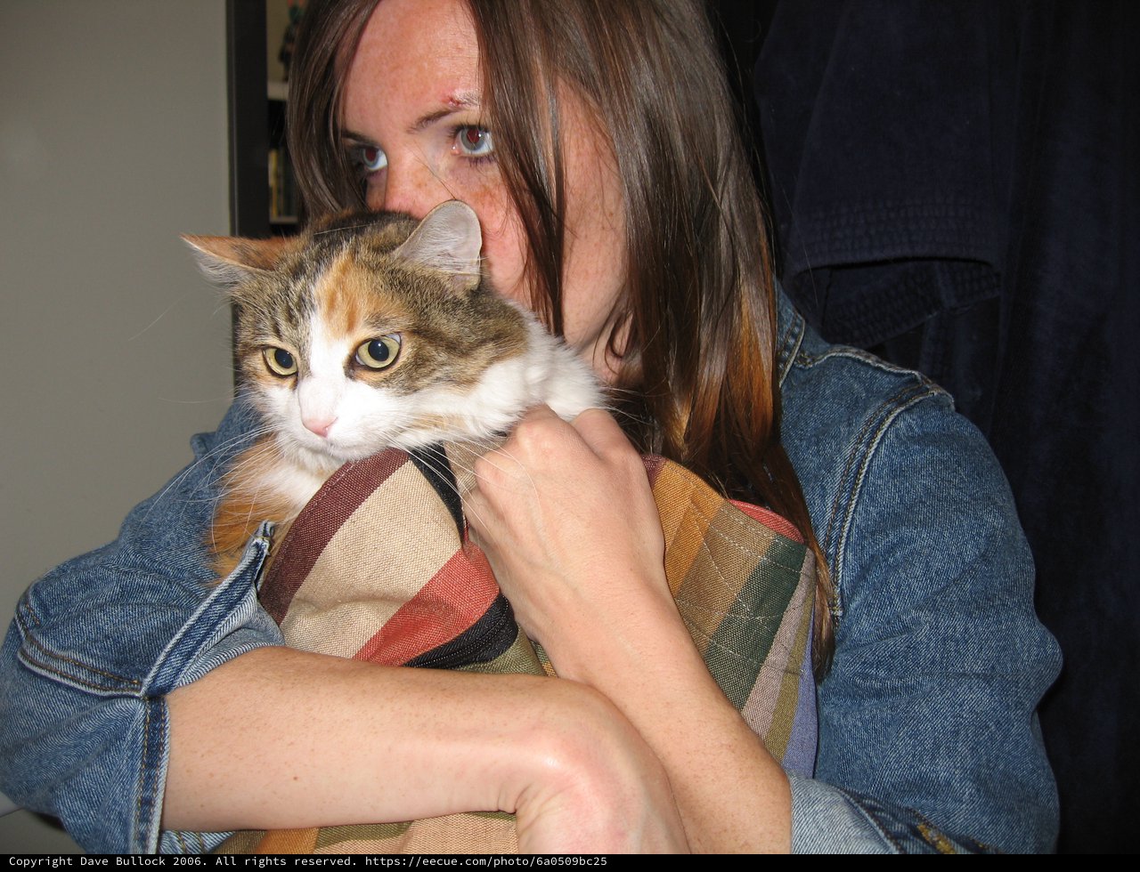 Woman Tenderly Cradling Calico Cat Indoors