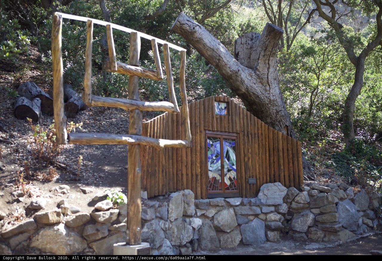 Rustic Hut and Towering Tree