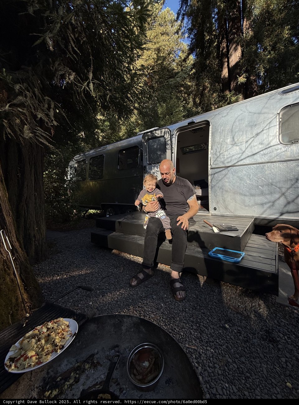 A Tranquil Morning in Guerneville