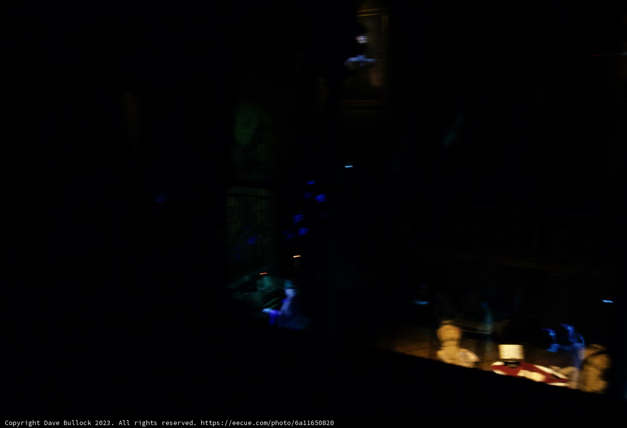 A Nightmarish Evening at Disneyland