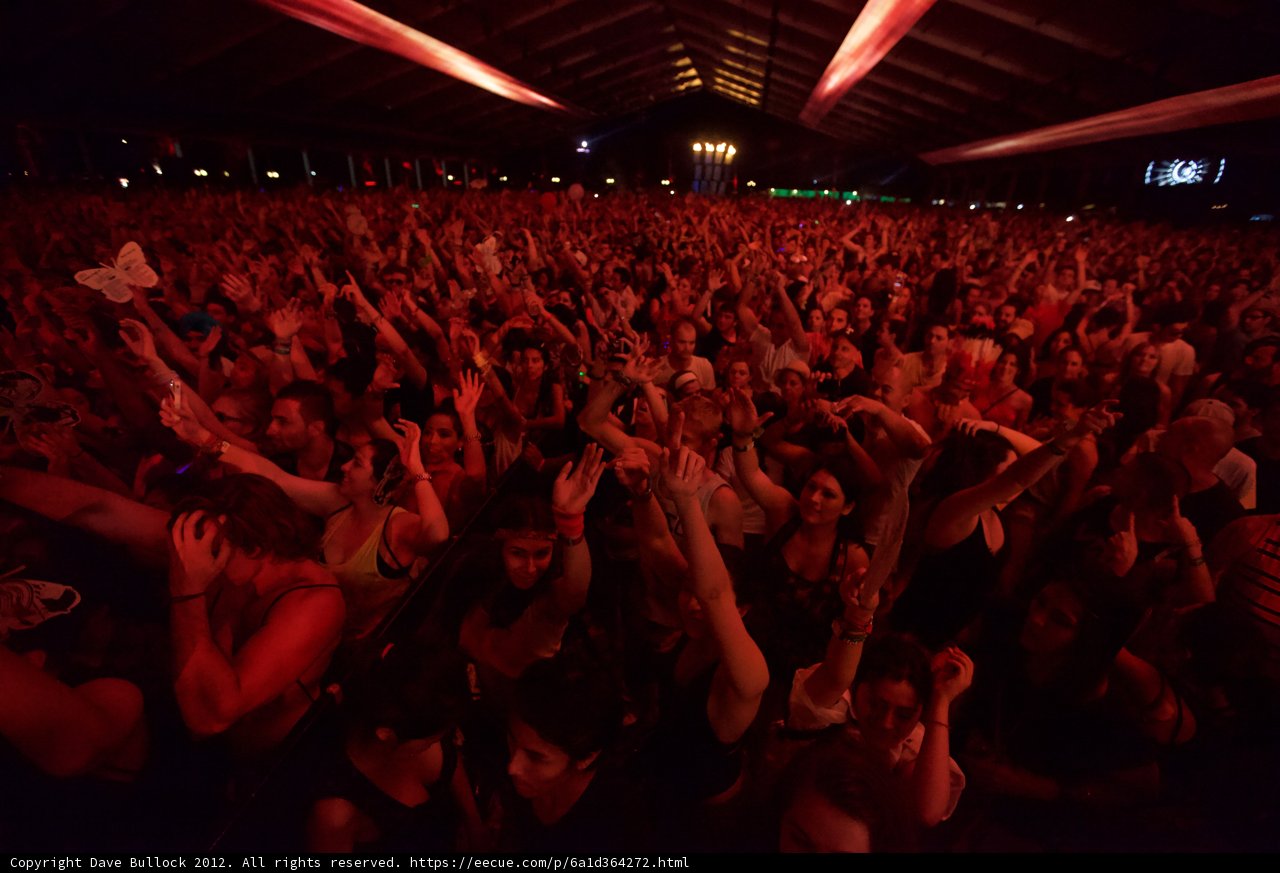 Coachella Crowd Goes Wild