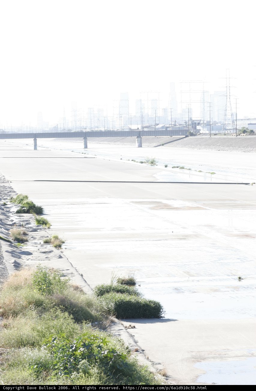 Skateboarding in the River
