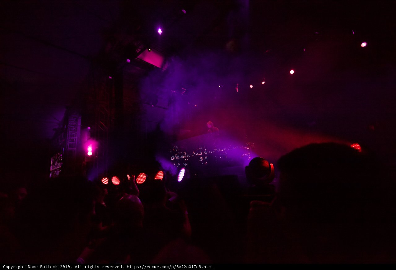 Purple Haze at Coachella