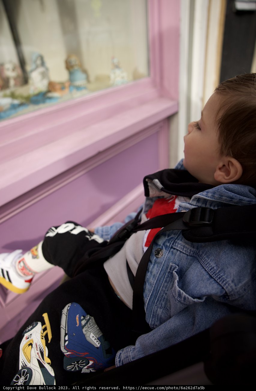 Gazing Adventures: Wesley's Journey