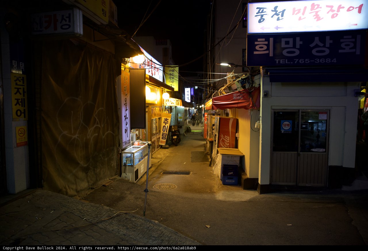 Korea Nights: An Urban Tale