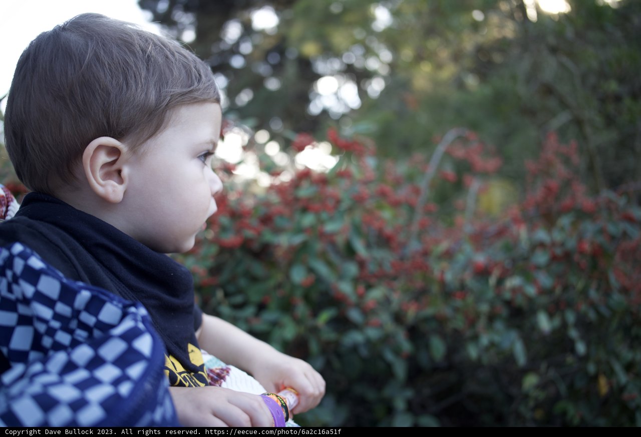 Unraveling the Wonder of Childhood