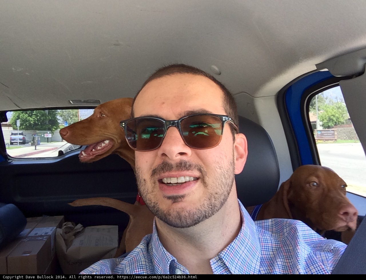 Cruising with Canines