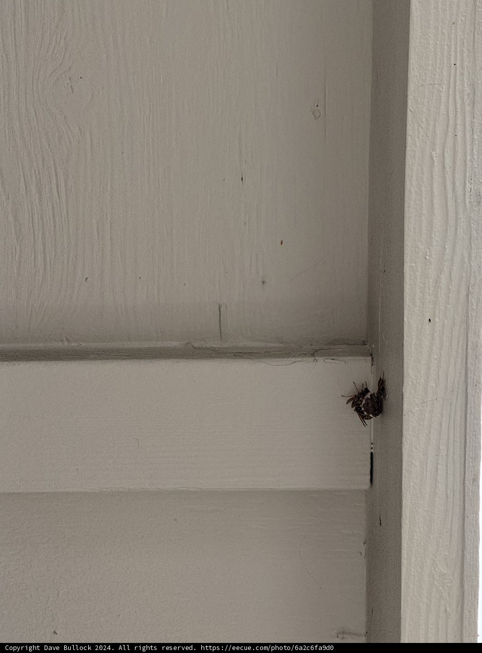 A Tiny Architect at Work