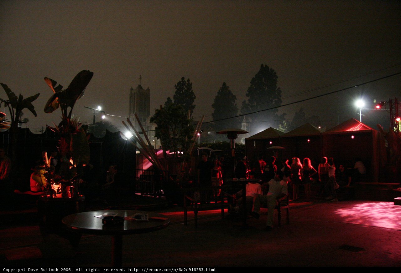 Nighttime Revelry