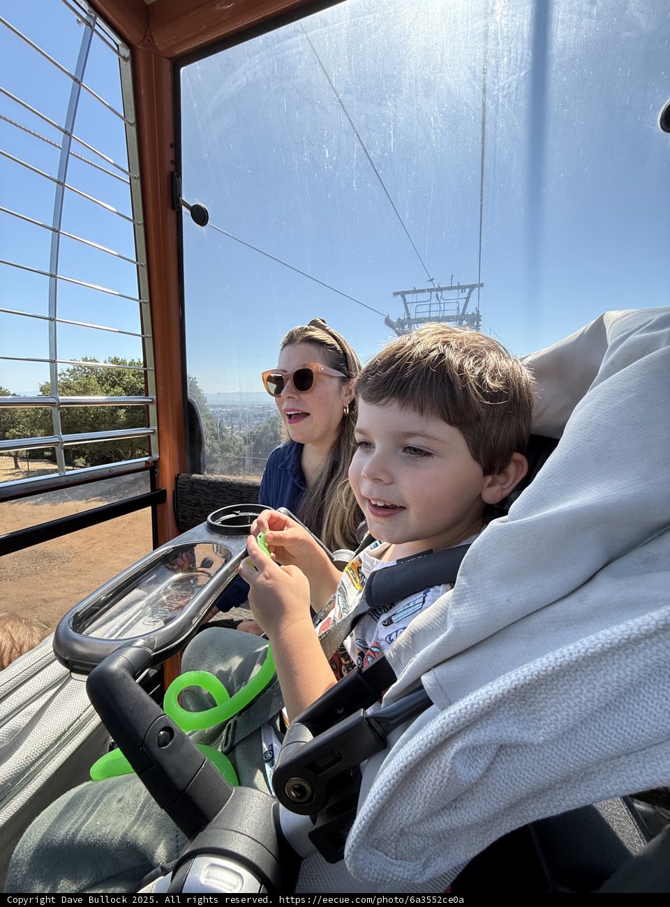 Zoo Day Adventures