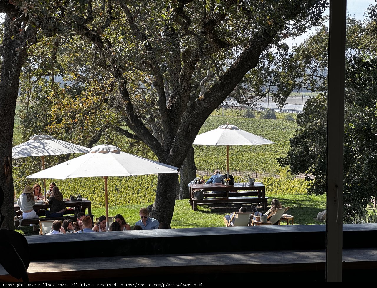 Outdoor Dining at Scribe