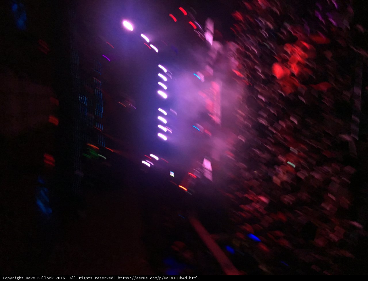 Bright Lights, Big City, Wild Crowd