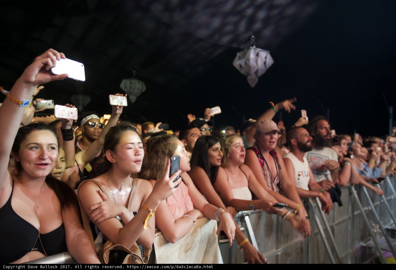 The Ultimate Coachella Selfie