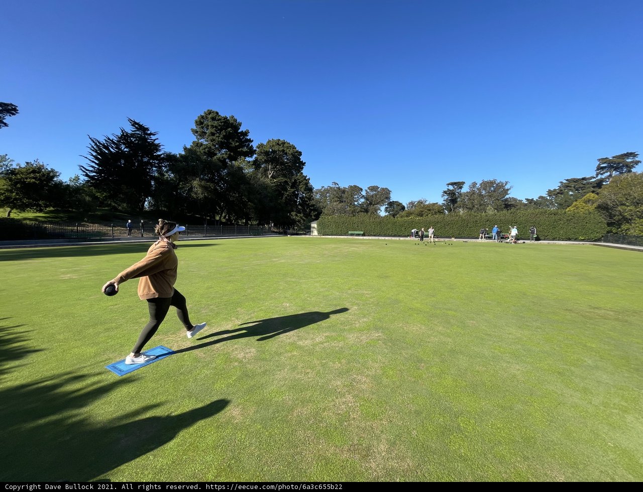 Playing Frisbee on a Beautiful Day at Golden Gate Park