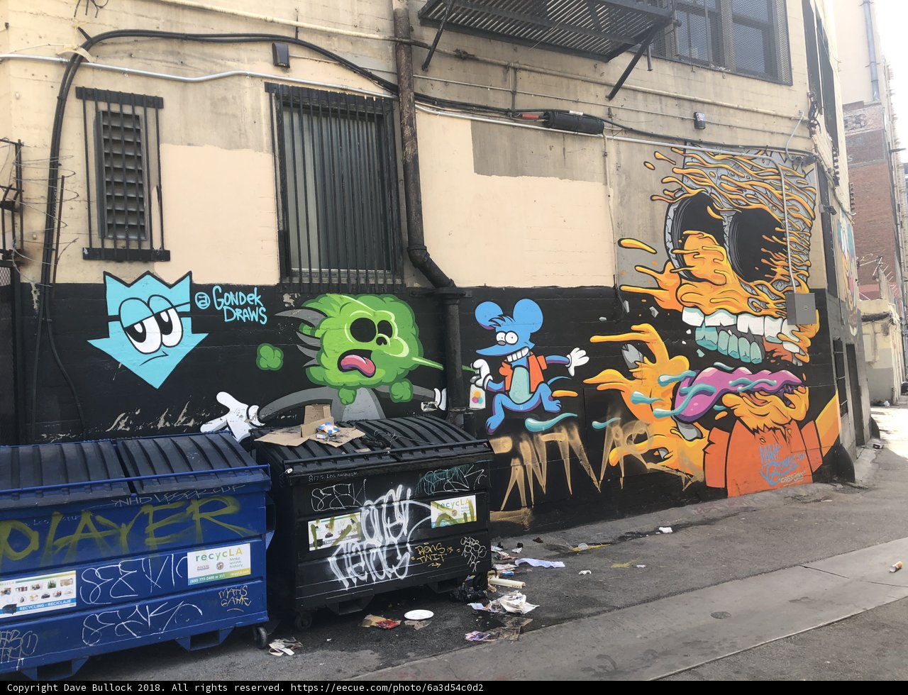 Beauty in the Graffiti