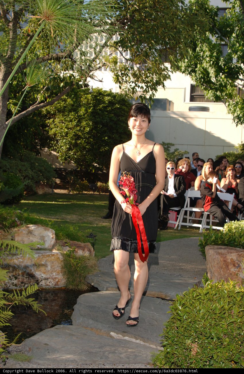 The Elegant Black Dress