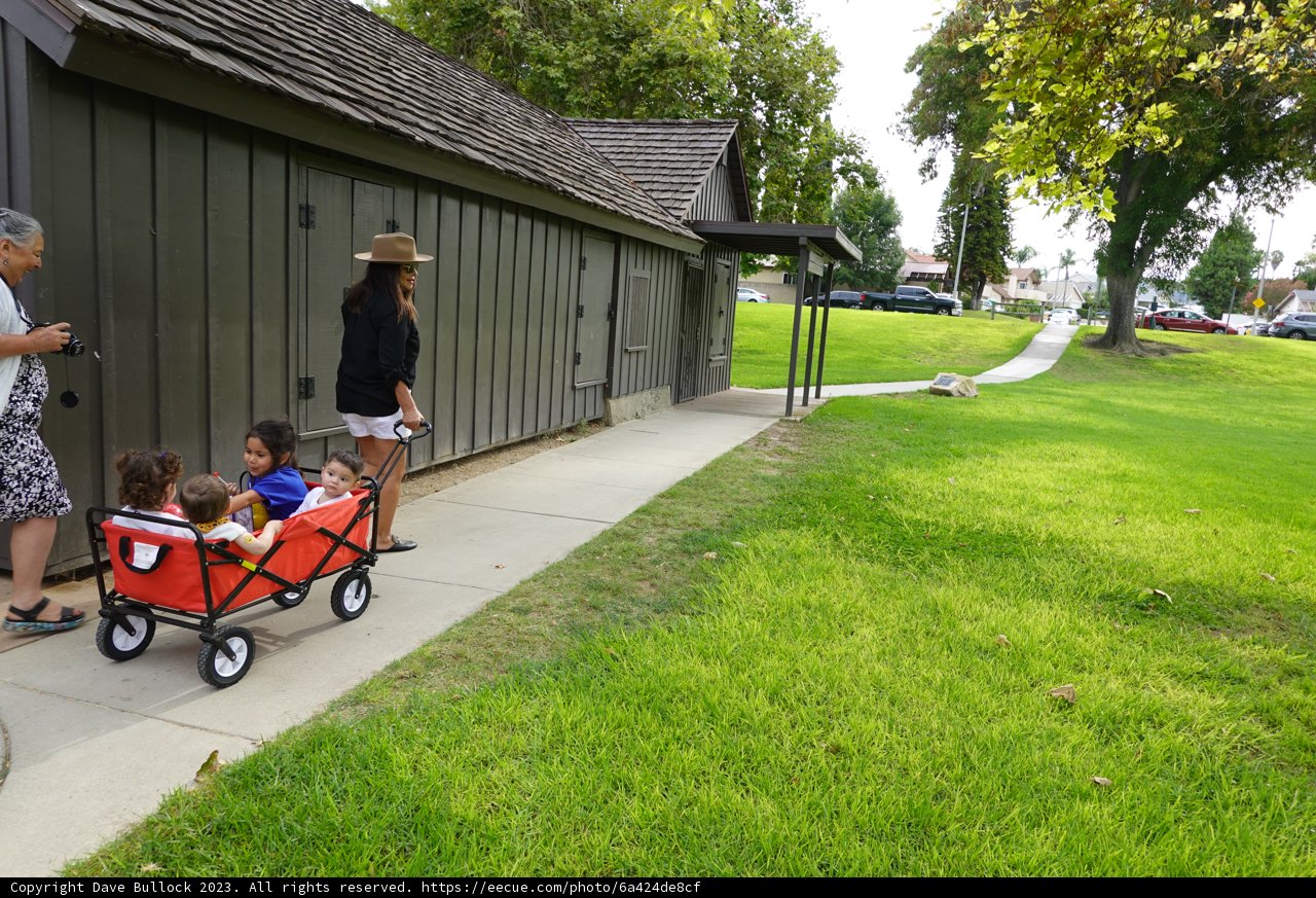 Summer Stroll with Wagon in Tow