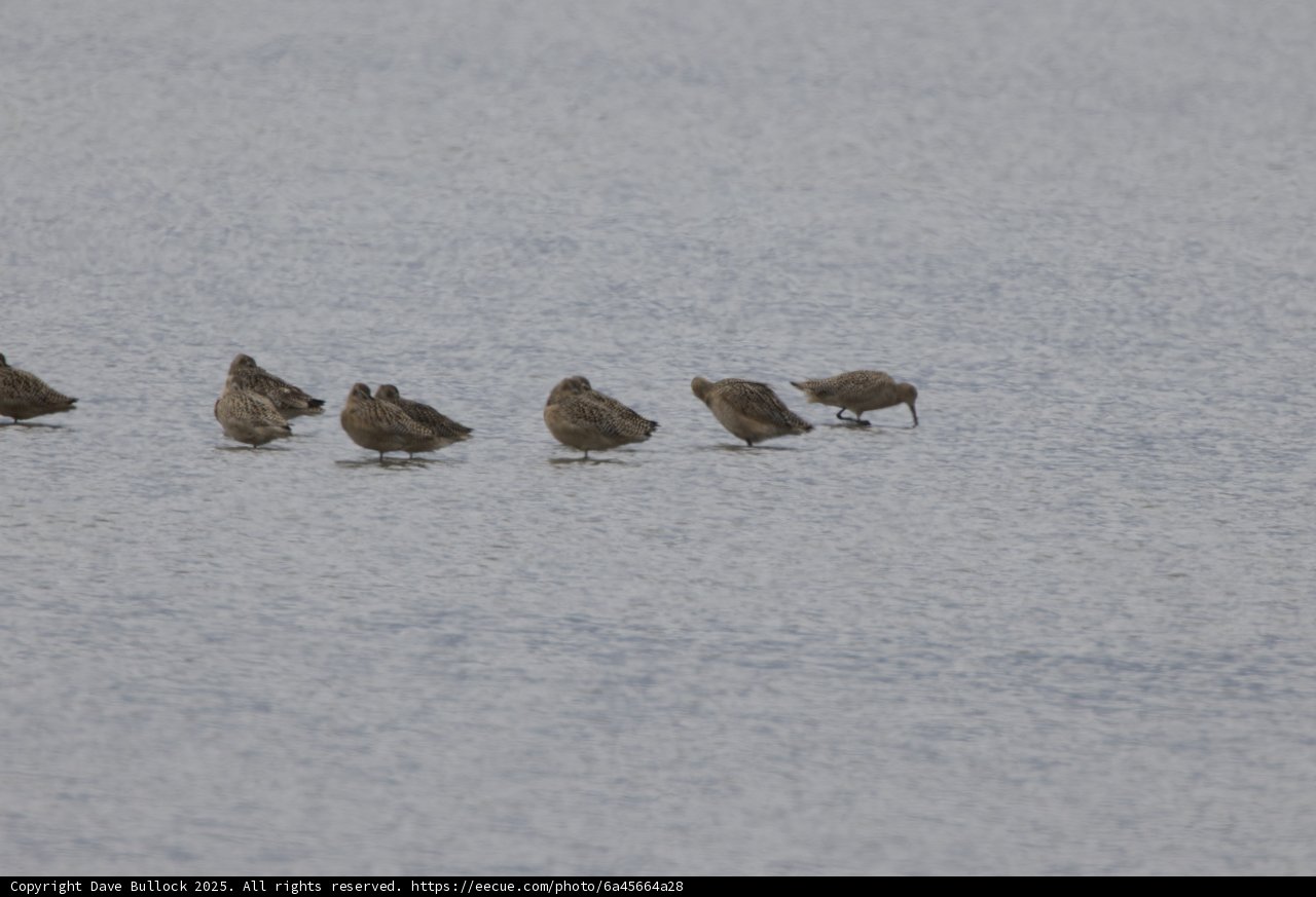 Tranquil Gathering in San Pablo Bay