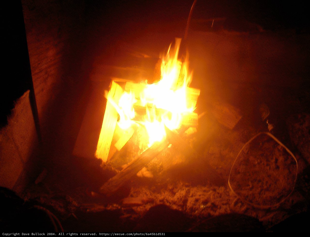 Roasting Marshmallows
