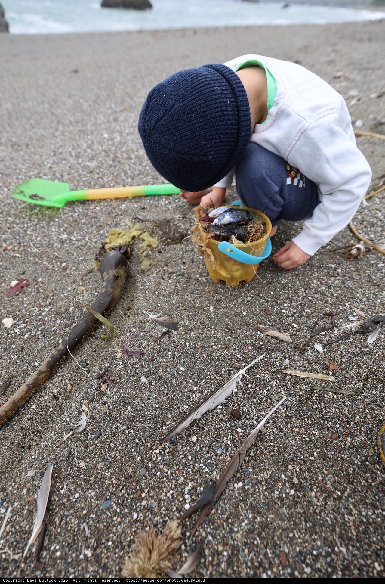 Young Explorer Collecting Beach Treasures in Sand