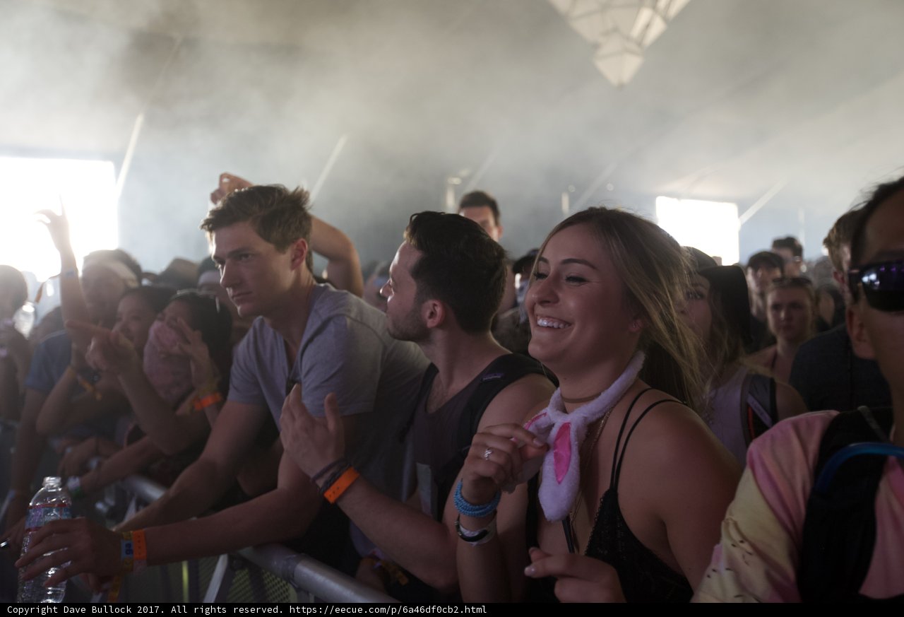 Music Festival Madness