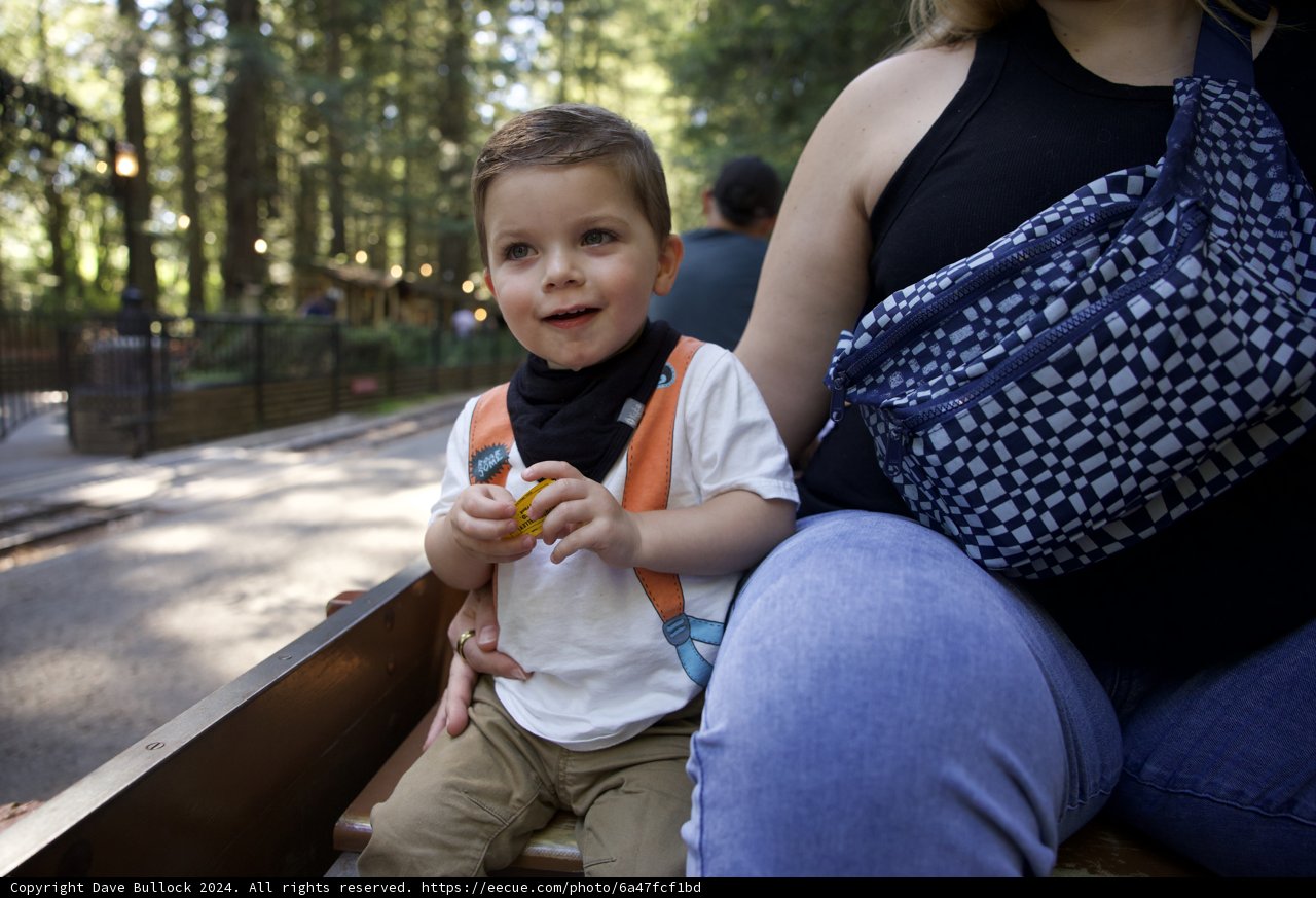 Joyful Moments at Tilden Park