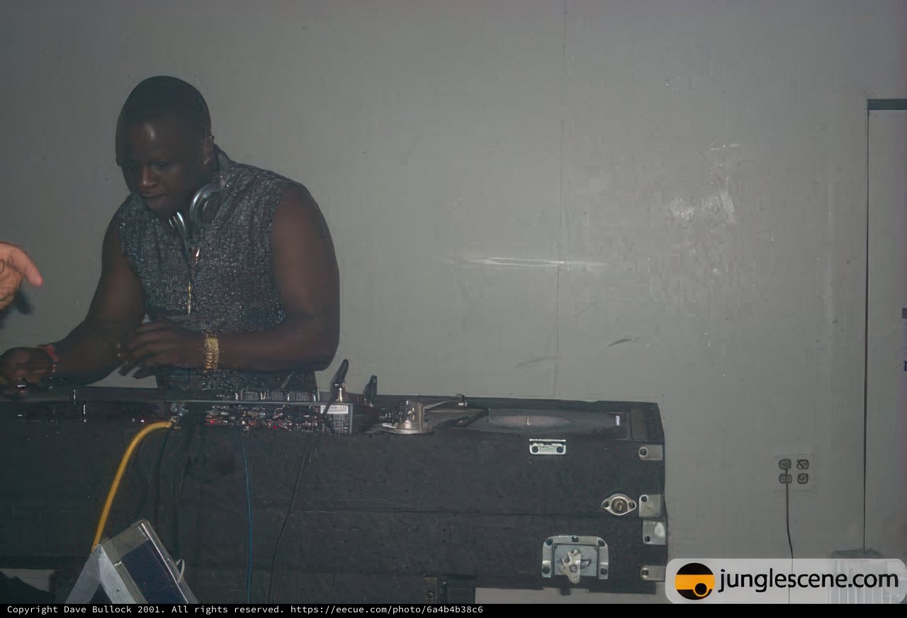 Musical Entertainer