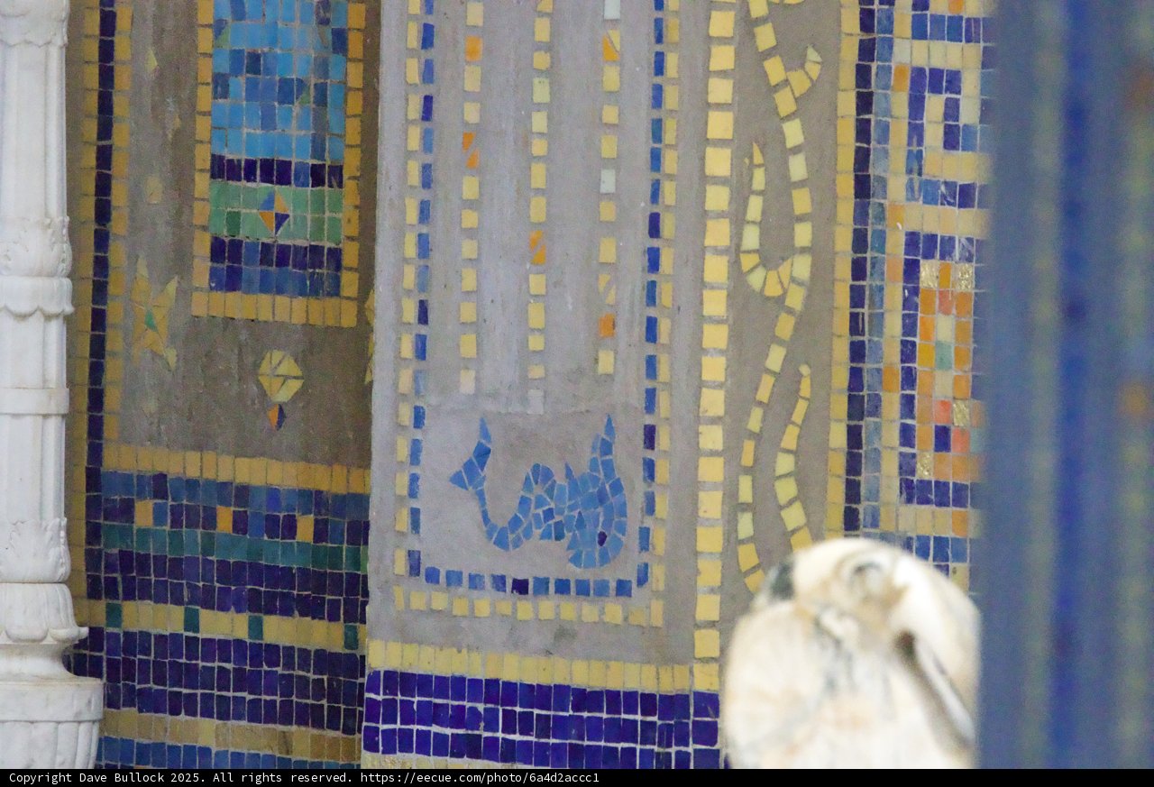 The Whimsical Tiles of Hearst Castle