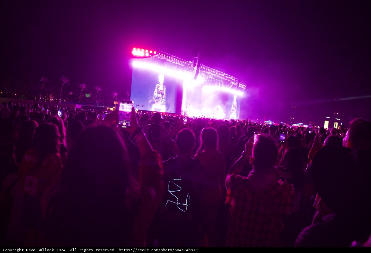 Electric Nights at Coachella 2024