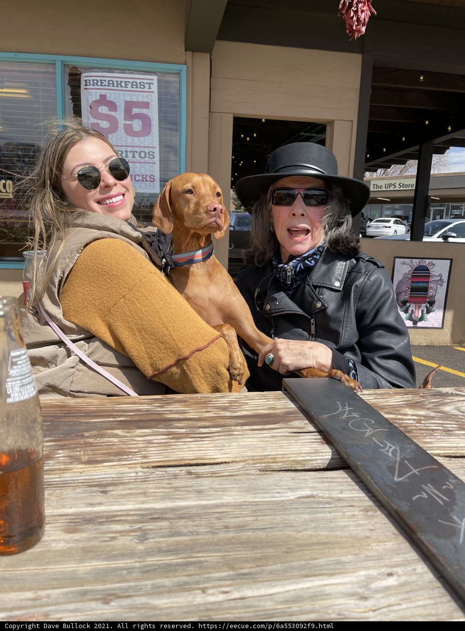 Ladies and Their Canine Companion